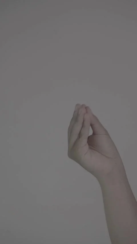 Hand Gesture, Italian gesture Stock Footage 313249297