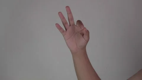 Hand Gesture, OK gesture Stock-Footage 312849419