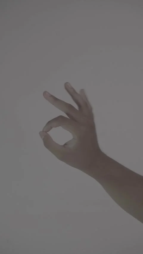 Hand Gesture, OK gesture Stock Footage 313250376