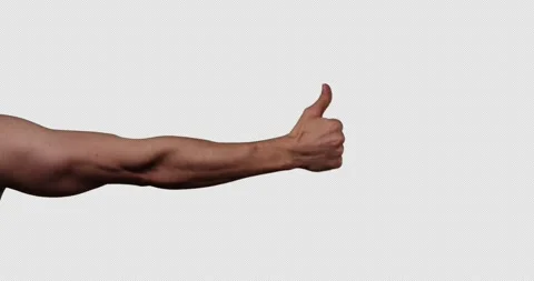 Hand gestures with alpha channel. Pre keyed.Muscular male hand approves. Stock Footage 264849297