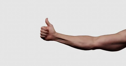 Hand gestures with alpha channel. Pre keyed. Strong male hand approves, Stock Footage 264849444