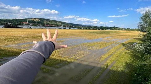 Hand Gesturing Toward Flooded Fields Stock Photos