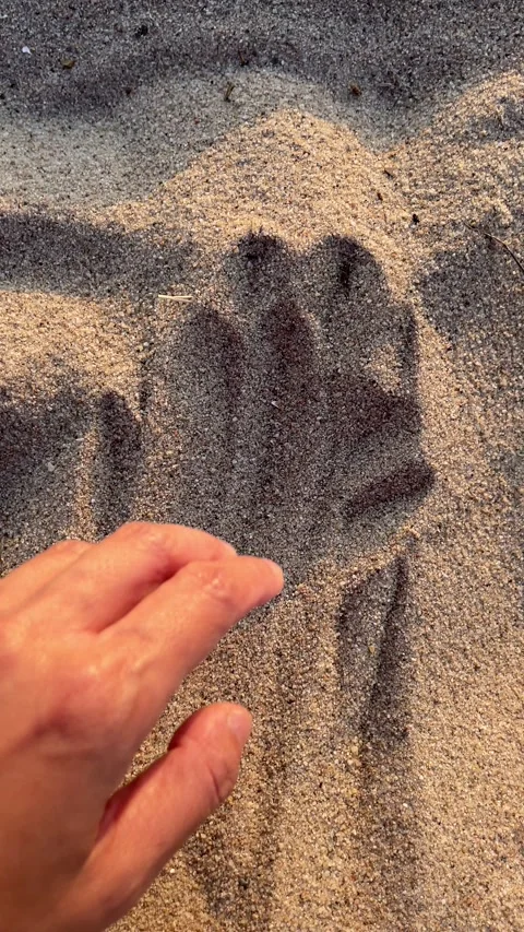 A hand glides over the pebbles scattered across the beach Stockbeeldmateriaal 295361394