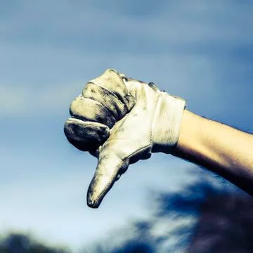 Hand in glove Stock Photos