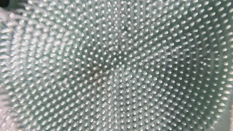 Hand Gloves - Macro Shot - Forwards Video stock 285848673
