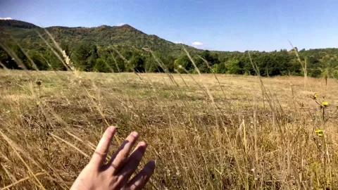 А Hand Going Across Long Grass. Mountain landscape. Stock Footage 149933323