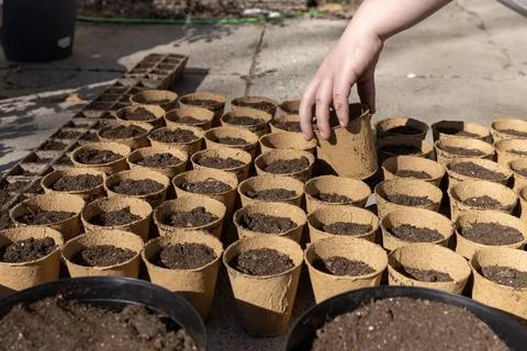 Hand grabbing one item from rows of peat pots Stock Photos