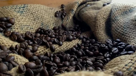 Hand grabs and pours roasted coffee beans from sack, slow motion Stock Footage 238979782