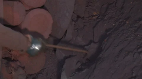 Hand grasping breed Stock Footage 58009780