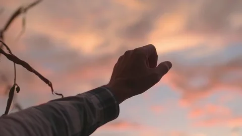 Hand Grasping at Sky During Pink Sunset Stock Footage 81563664