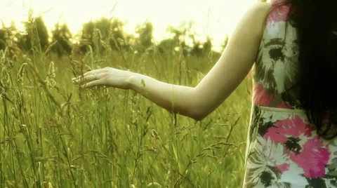 Hand on the grass Stock Footage 39352812