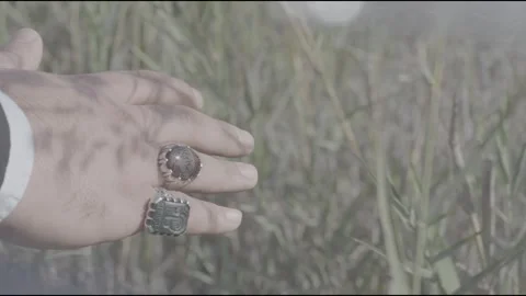 Hand in Grass Stock Footage 314903516