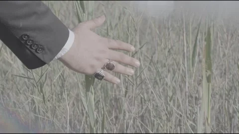 Hand In Grass Stock Footage 314903658