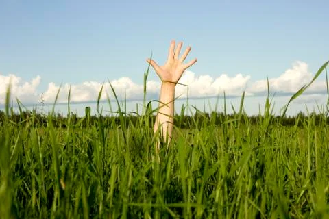Hand in a grass Stock Photos