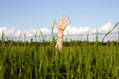 Hand in a grass Stock Photos