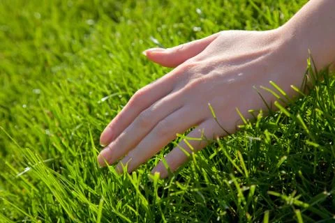 Hand with grass Photos