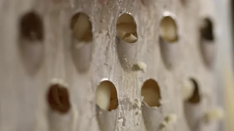 Hand-grated cheese spills through a grater's holes. Stock Footage 266011292
