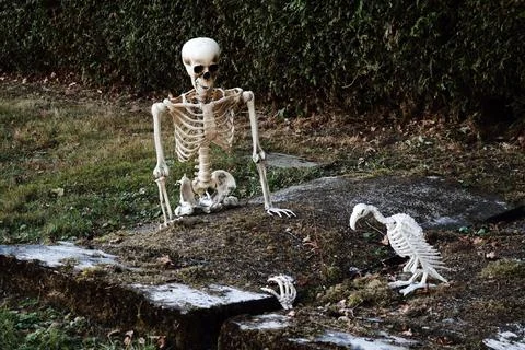 Hand from the Grave Foto stock