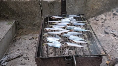 Hand grilling fresh sardines over hot coals on a barbecue Stock Footage 337001129