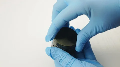Hand grind hemp grinder.The grinding marijuana in the grinder for herbs. Stock Footage 127406143