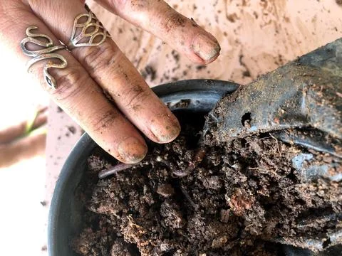 Hand on the ground Stock Photos