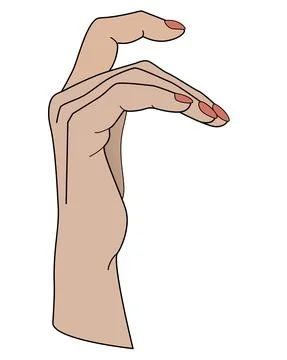 Hand. Hand with bent fingers - vector full color illustration. Stock Illustration