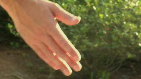 Hand in hand Video stock 845102