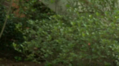 Hand in hand Stock Footage 845103