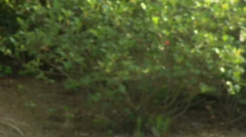 Hand in hand Stock-Footage 845104