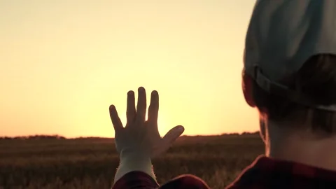 Hand hand, we stretch towards sunset, living our best lifestyle as happy family Stock Footage 246186396