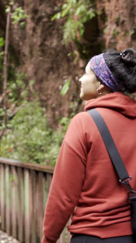 Hand held camera sequence shot of tourist walking through the forest with h.. Stock Footage 290129896