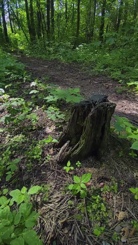 Hand-held camera shooting for tracking 3D objects or text Stock Footage 276569416