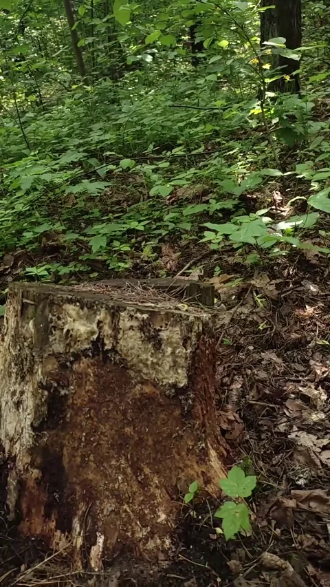 Hand-held camera shooting for tracking 3D objects or text Stock Footage 276569537