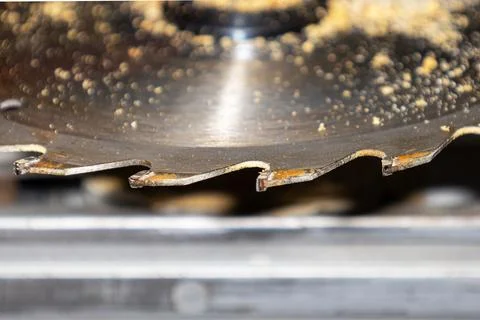 Hand-held circular saw for cutting boards, close-up Foto stock