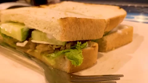 Hand held sandwiches close-up Video stock 252700348