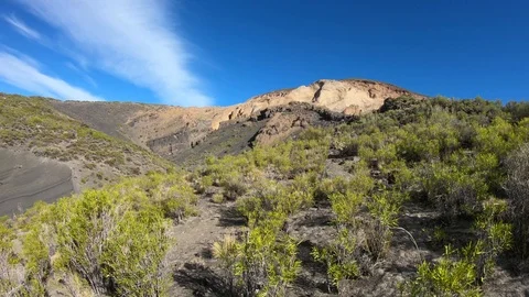 Hand held scene of Malacara volcano. Traveling along native vegetation Video stock 97185440