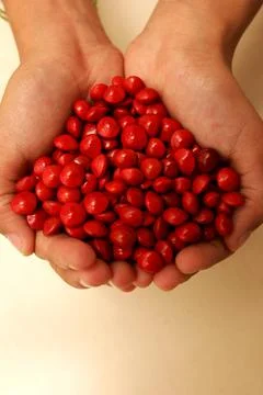 Hand held seed Stock Photos