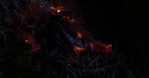 Hand held shake amber glow fire flame on ashes for Chinese hungry ghost fes.. Stock Footage 249979061