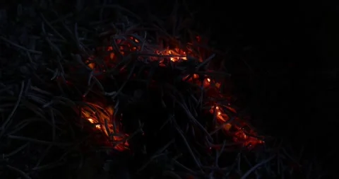 Hand held shake amber glow fire flame on ashes for Chinese hungry ghost fes.. Stock Footage 249979084