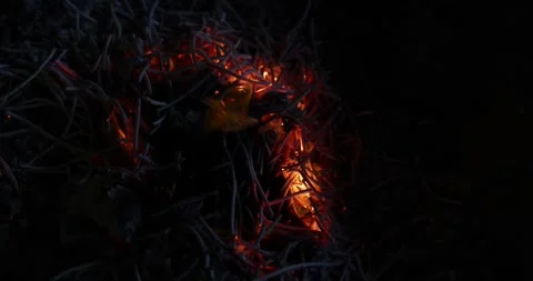 Hand held shake amber glow fire flame on ashes for Chinese hungry ghost fes.. Stock Footage 249979200