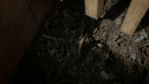 Hand held shot of compost Stock Footage 76813615