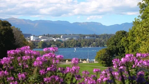 Hand Held Shot of Lake Geneva from Flower Border in the Parc de La Grange, 4K Video stock 211772117