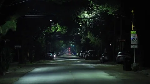 Hand held shot at night of a tree lined street in New Orleans Stock Footage 72715697