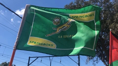 Springbok Rugby Team Stock Footage ~ Royalty Free Stock Videos | Pond5