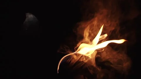 Hand Held Torch in Darkness Stock Footage 46114982