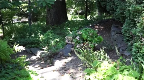 Hand-held video of walking through a nature trail Stock Footage 53789852