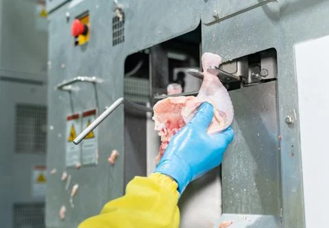 Hand hold drum stick paste on auto remove bone machine. Stock Photos