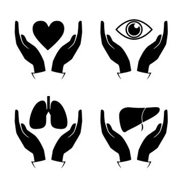 Hand hold heart, eye, lung, liver icons Stock Illustration
