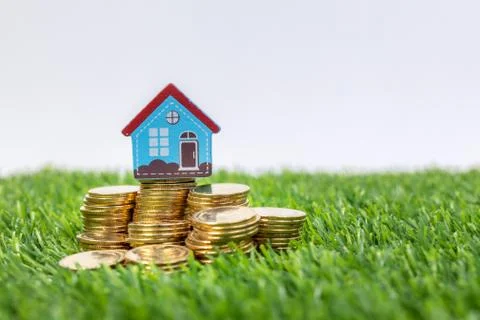 Hand hold a home model put on the stack coin with growing. Savings money for Stock Illustration