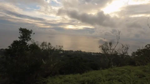 Hand hold look up horizontal pane view of look out from tropical forest tree at  Stock Footage 245442945